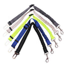 Coleira de Segurança PawSafe